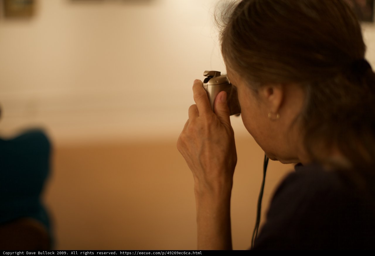 Capturing Memories