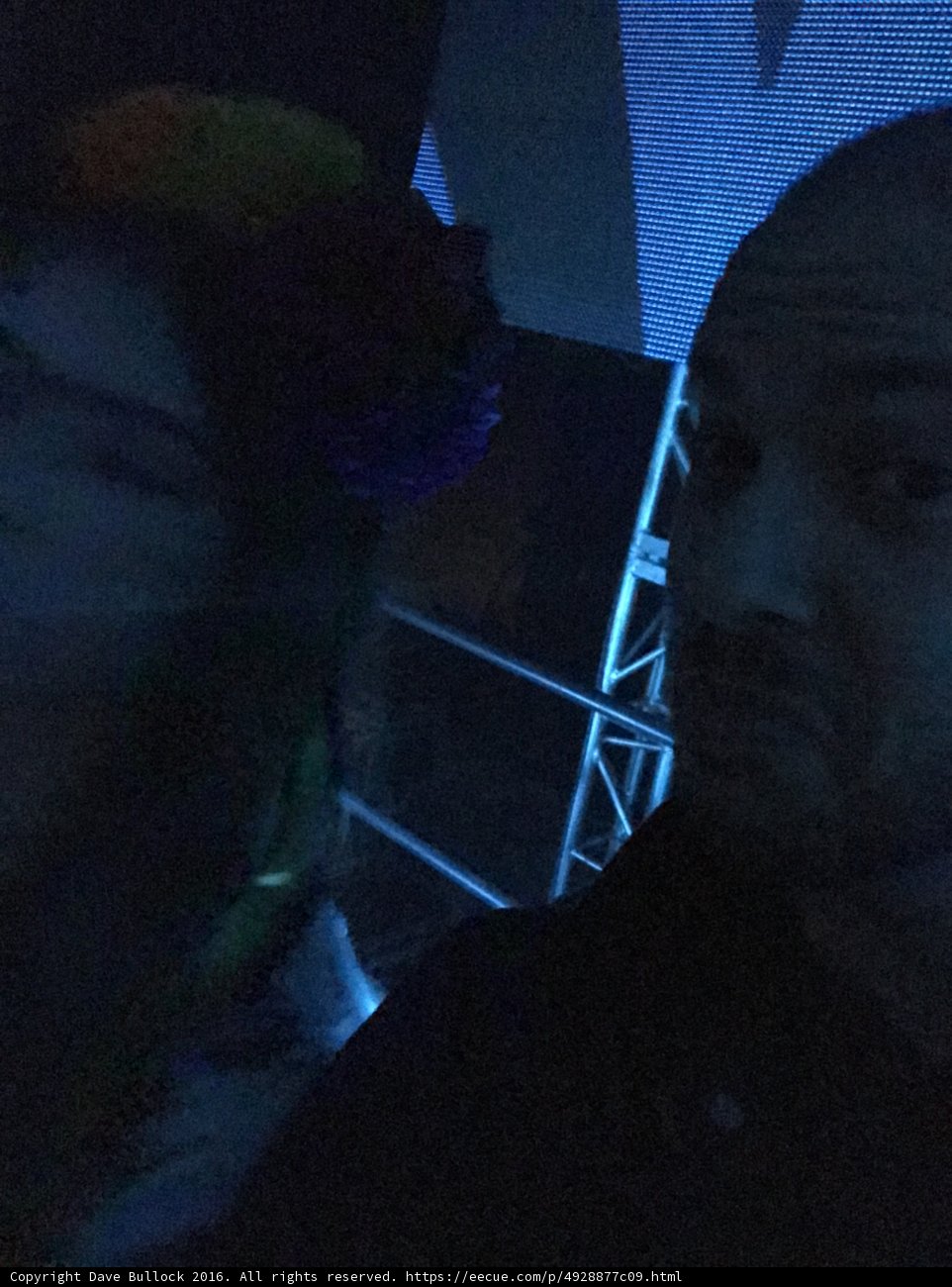 Nightlife Performances
