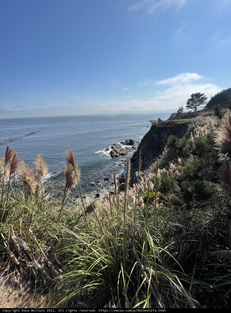 Overlooking Nature's Beauty