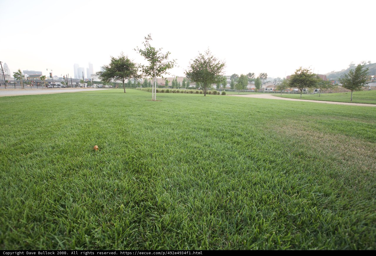 Fire Hydrant in the Open Field