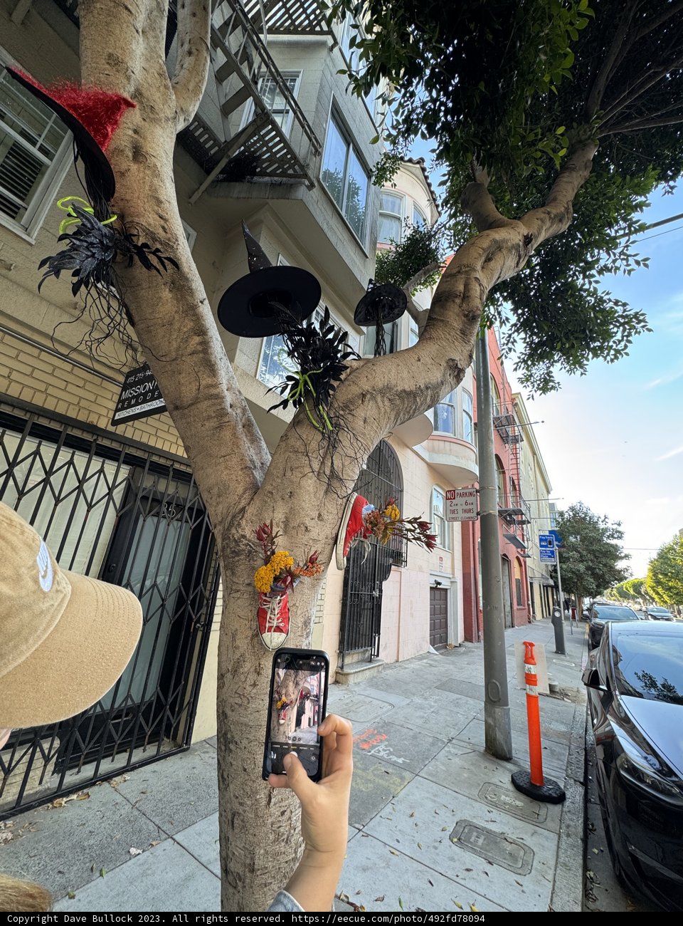 Urban Nature's Twist: Tree Attired!