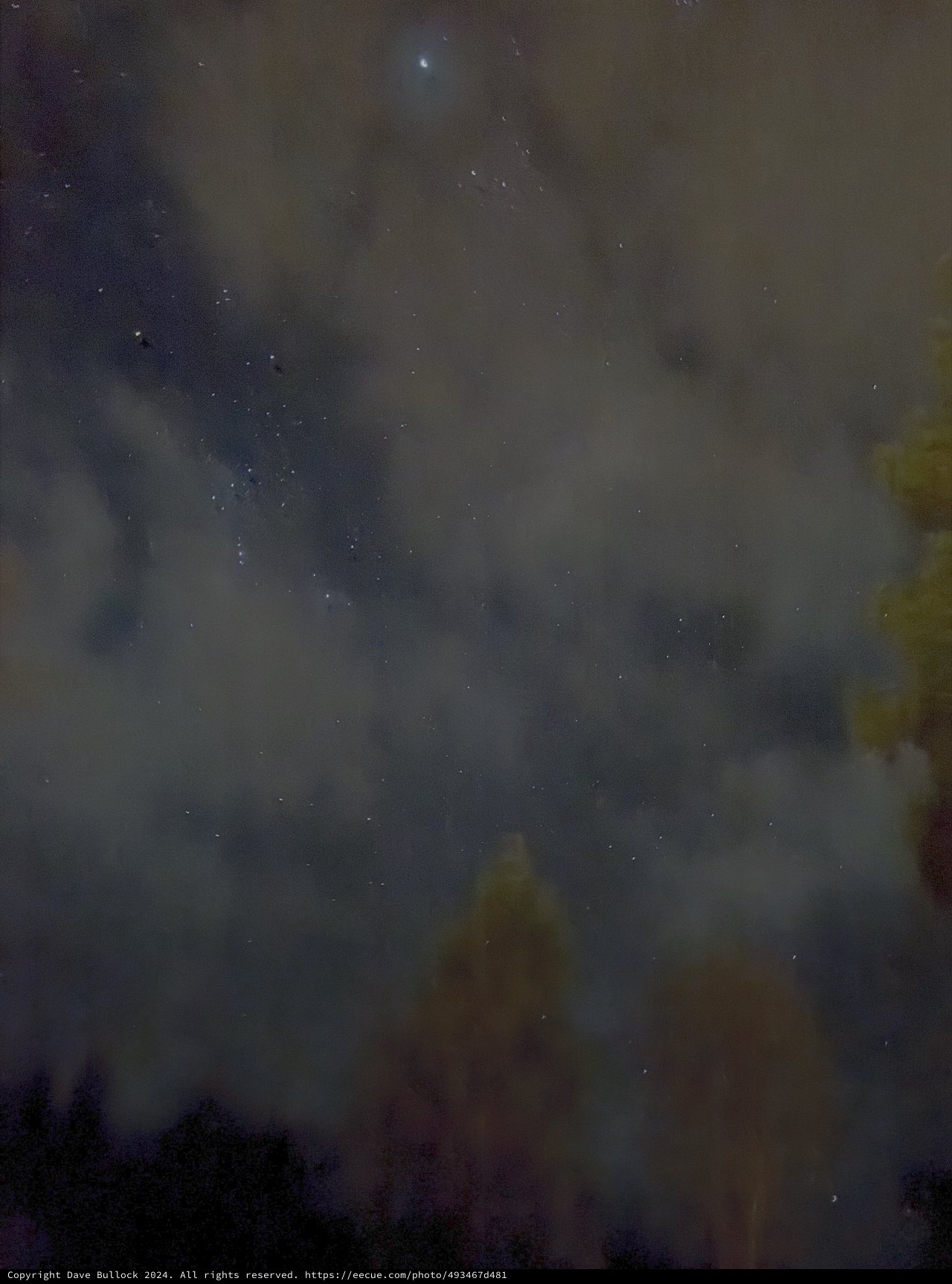 Aurora Borealis Dancing Over Winter Forest