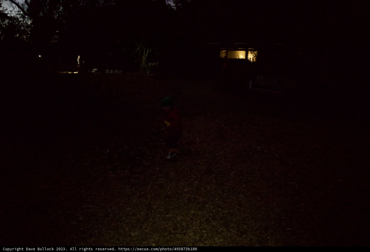 Enigmatic Night Stroll in Presidio