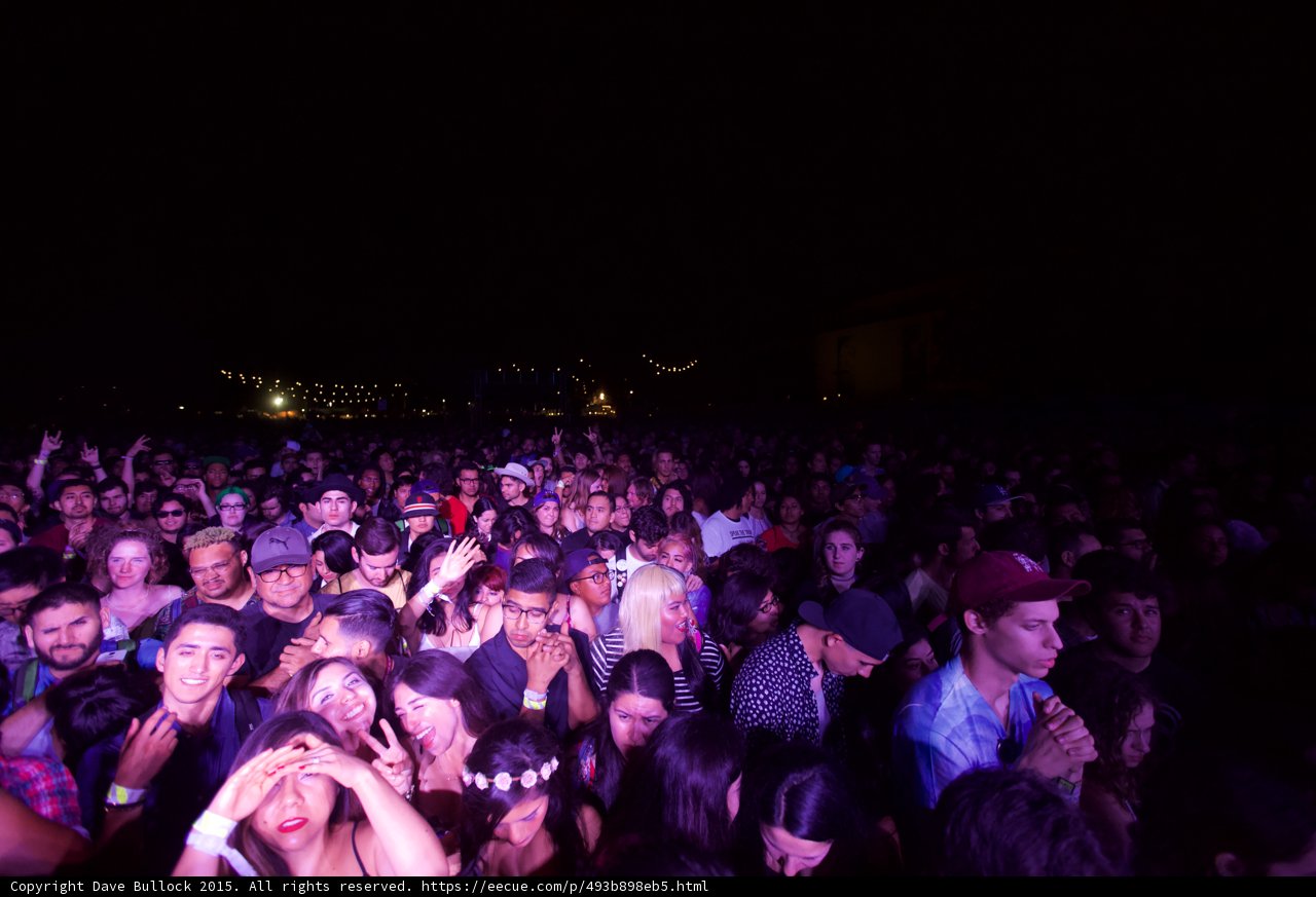 Festival Crowd Posing