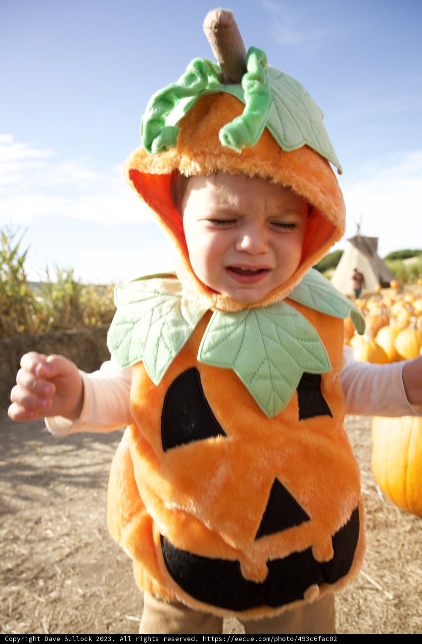 Capturing Pumpkin Magic with Baby Wesley