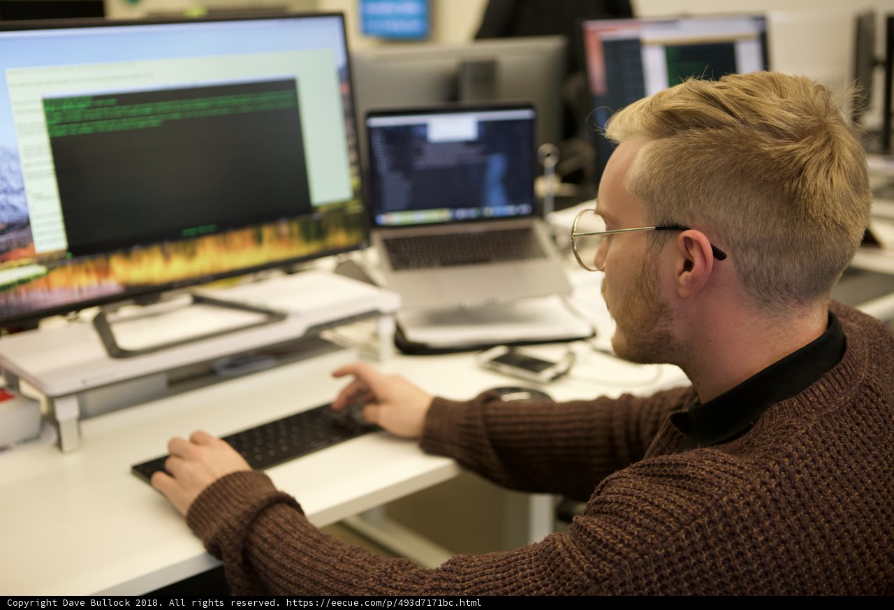 Working Hard at the Desk