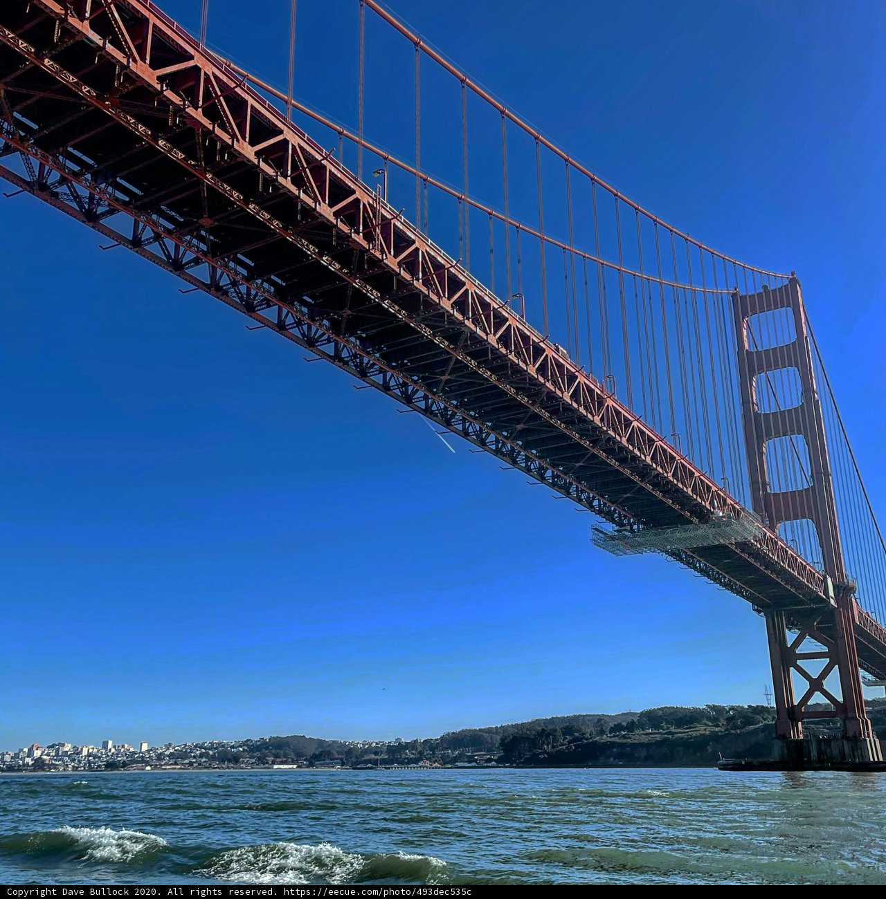 A Golden View of the Bay