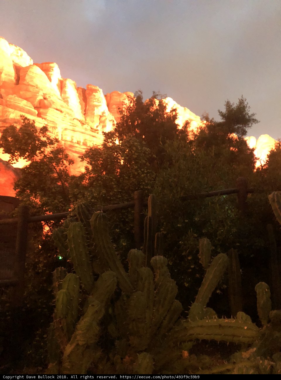Solitude in the Mesa