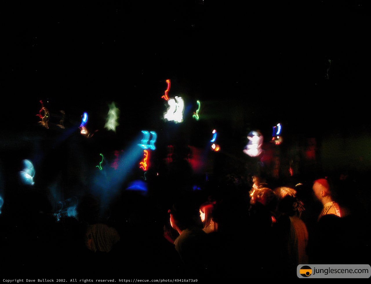 Nightclub Crowd Enjoys Disco Concert