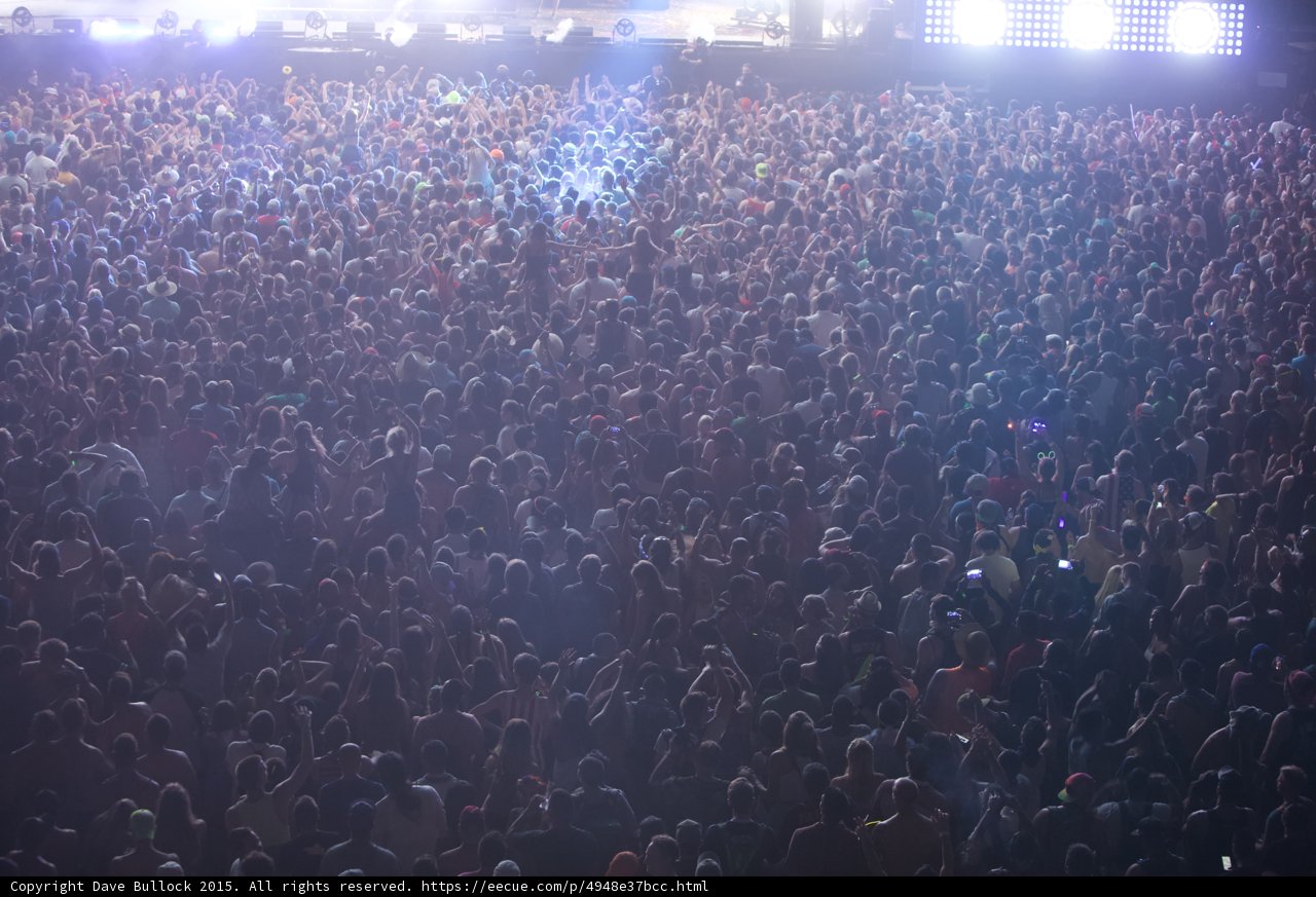 Lights and Cheers at Coachella