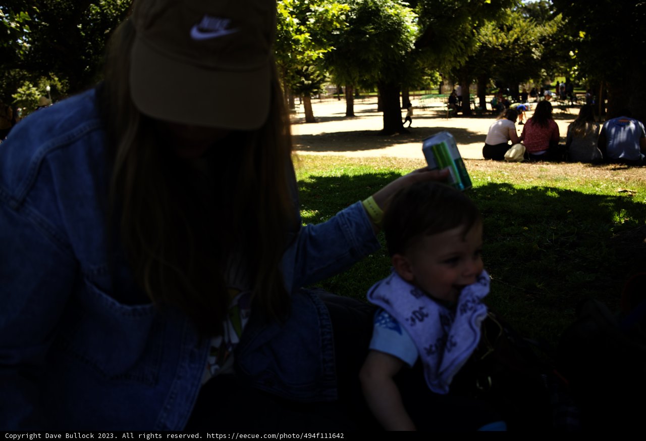 Summertime Serenity in the Park