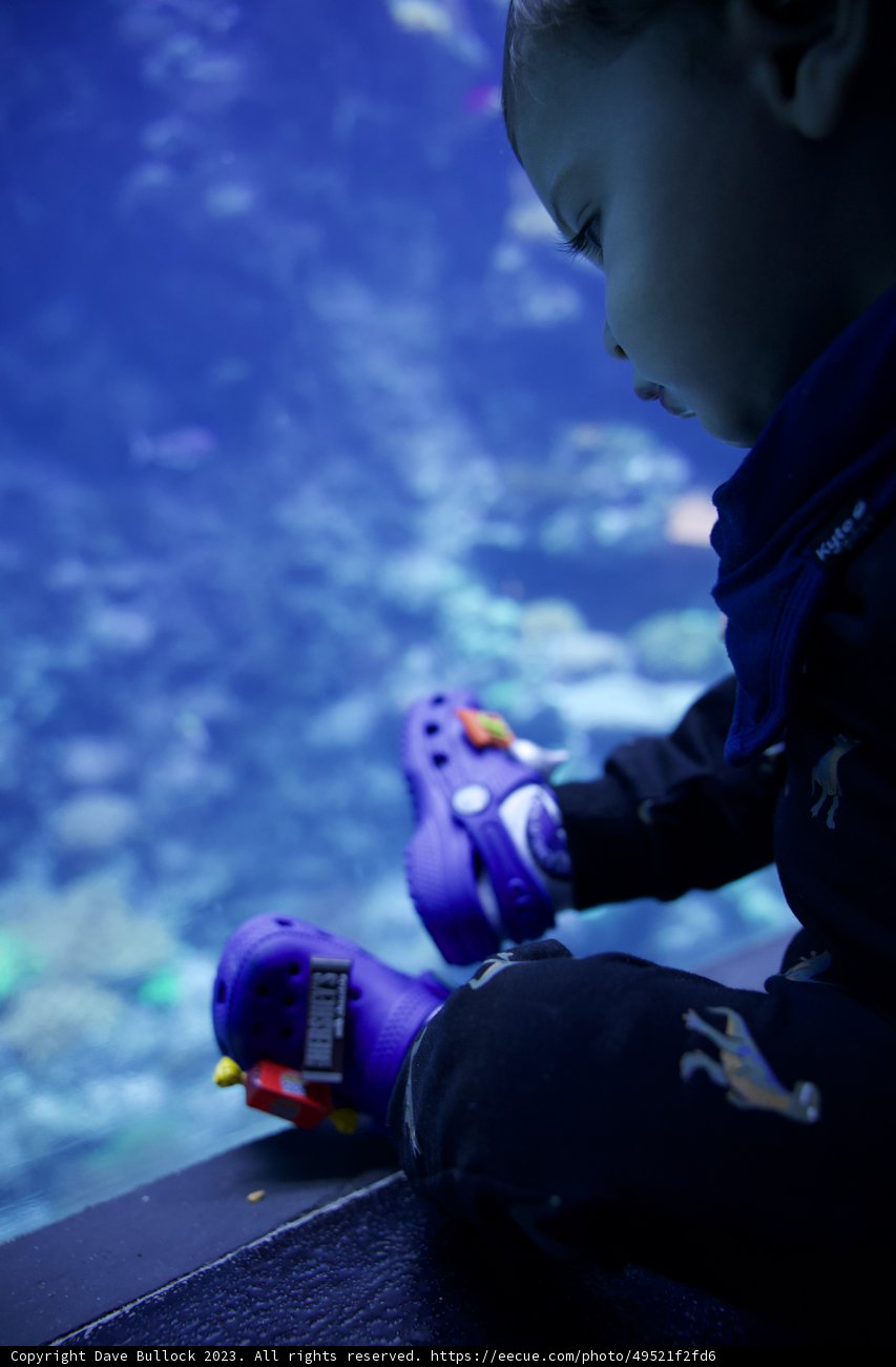 Journey Under the Sea: Joy of Childhood Discovery