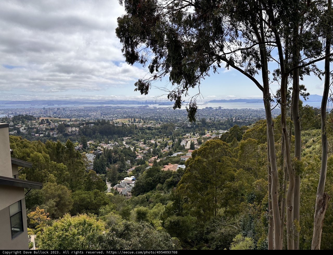 Oakland's Skyline: A Nature-City Fusion