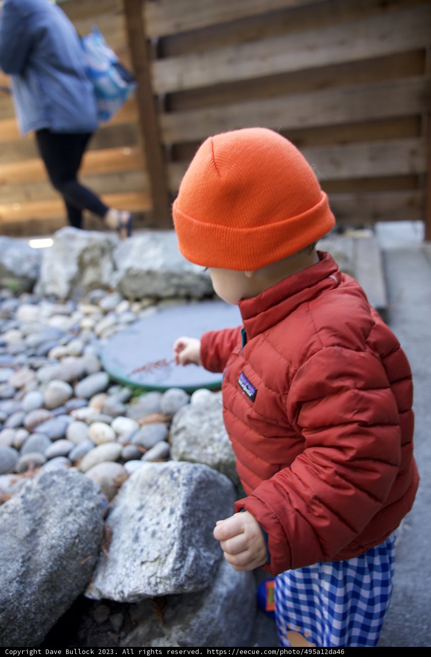 The Tiny Adventurer at Big Sur