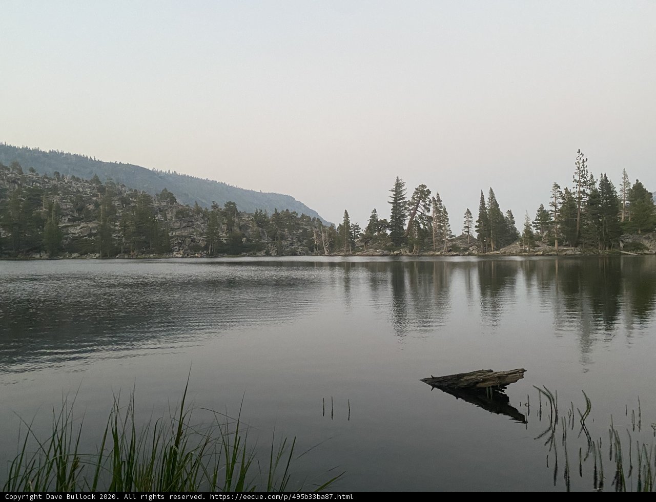 Serene Lake amidst Towering Trees