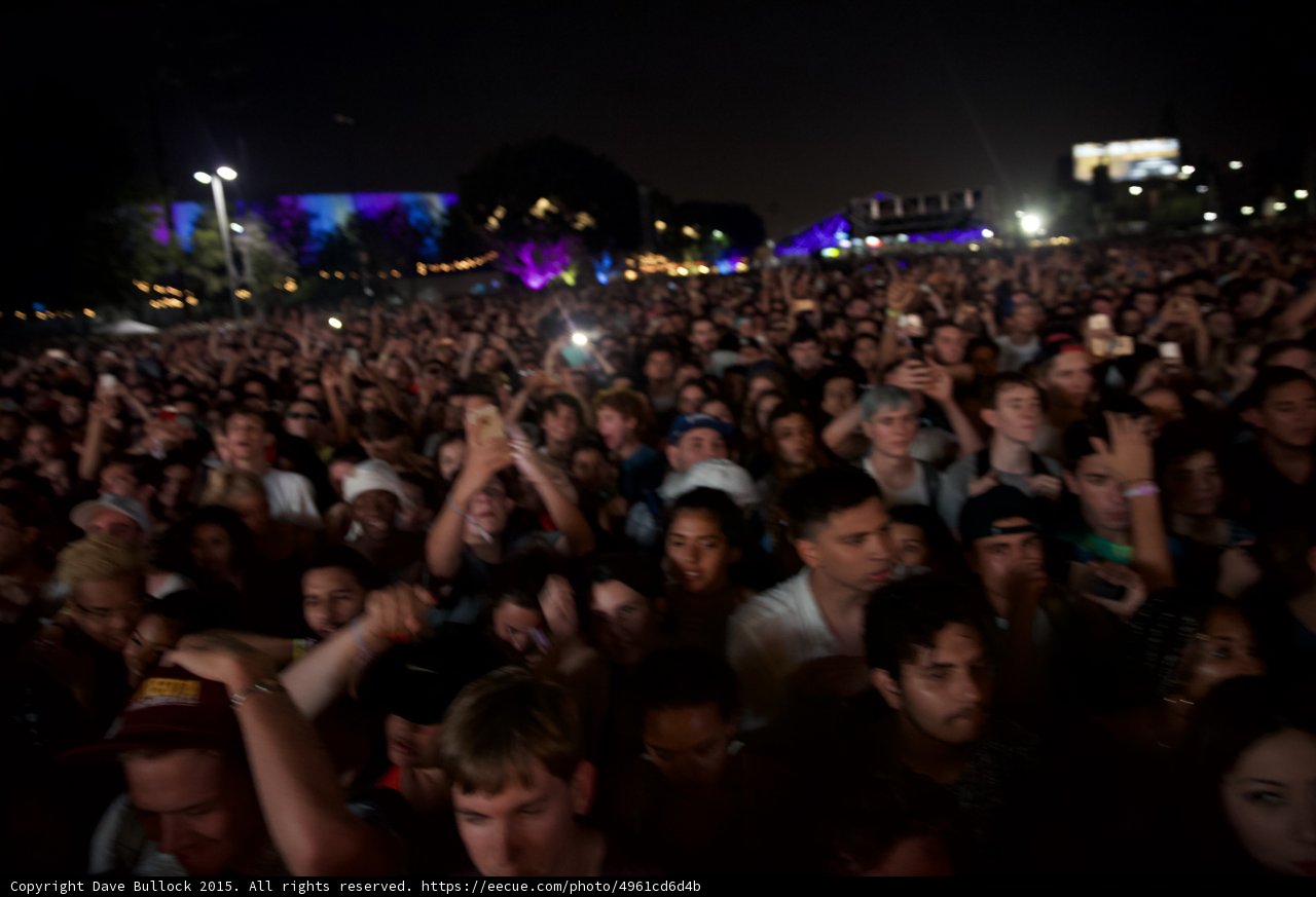Festival Crowd Facing Out