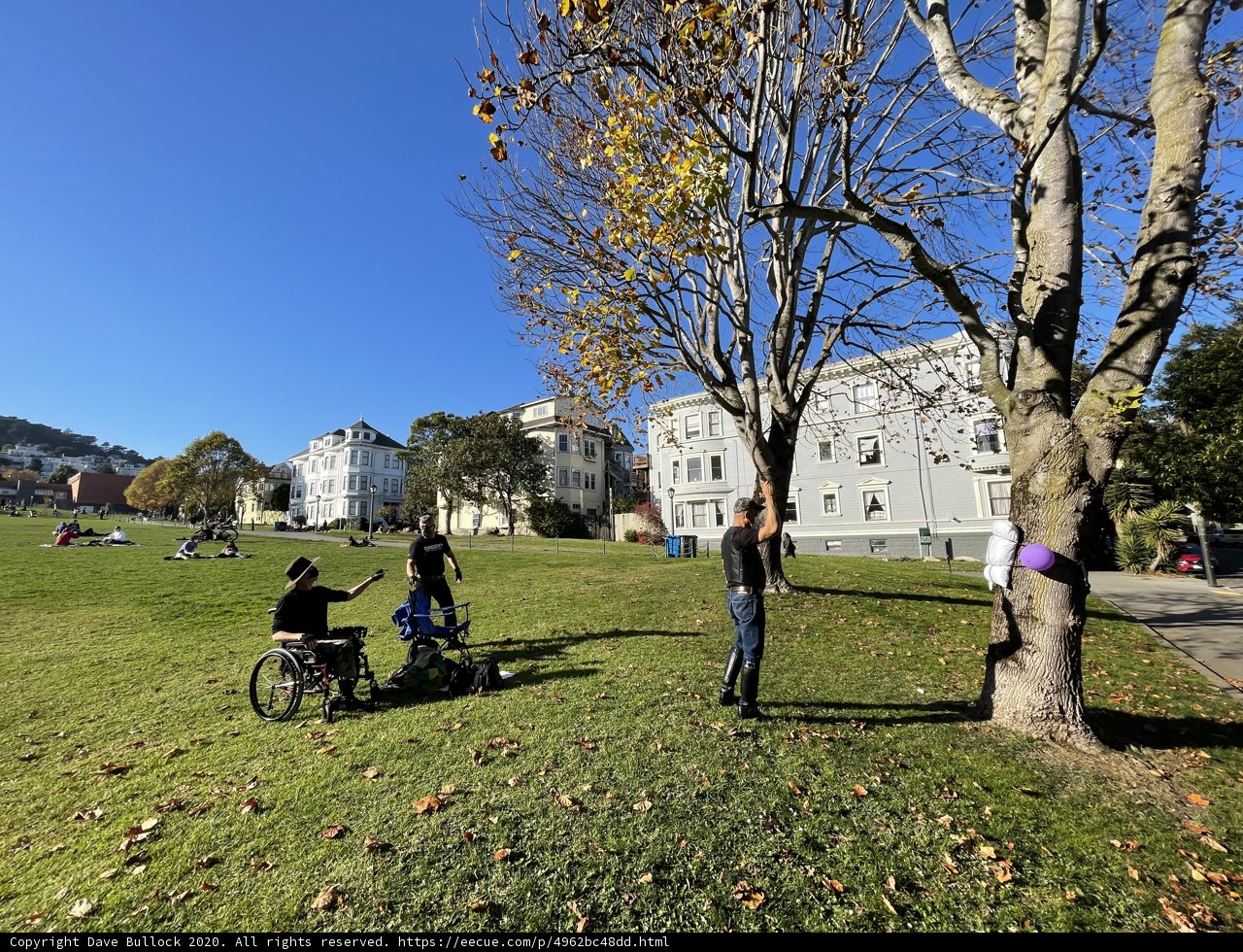 A Sunny Day Out at Duboce Park