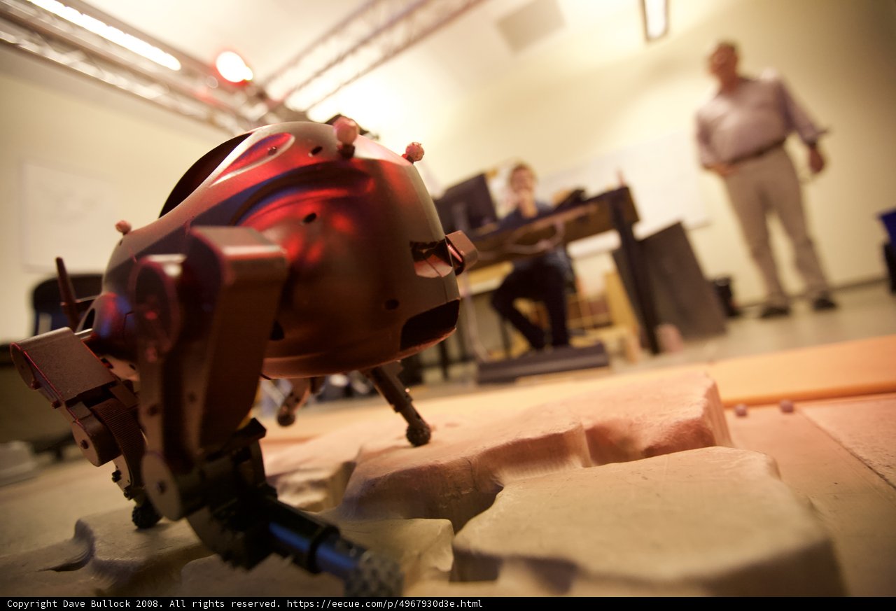 Man and Robot at Work