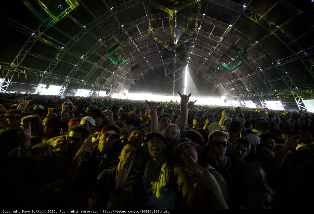 Coachella Crowd Goes Wild