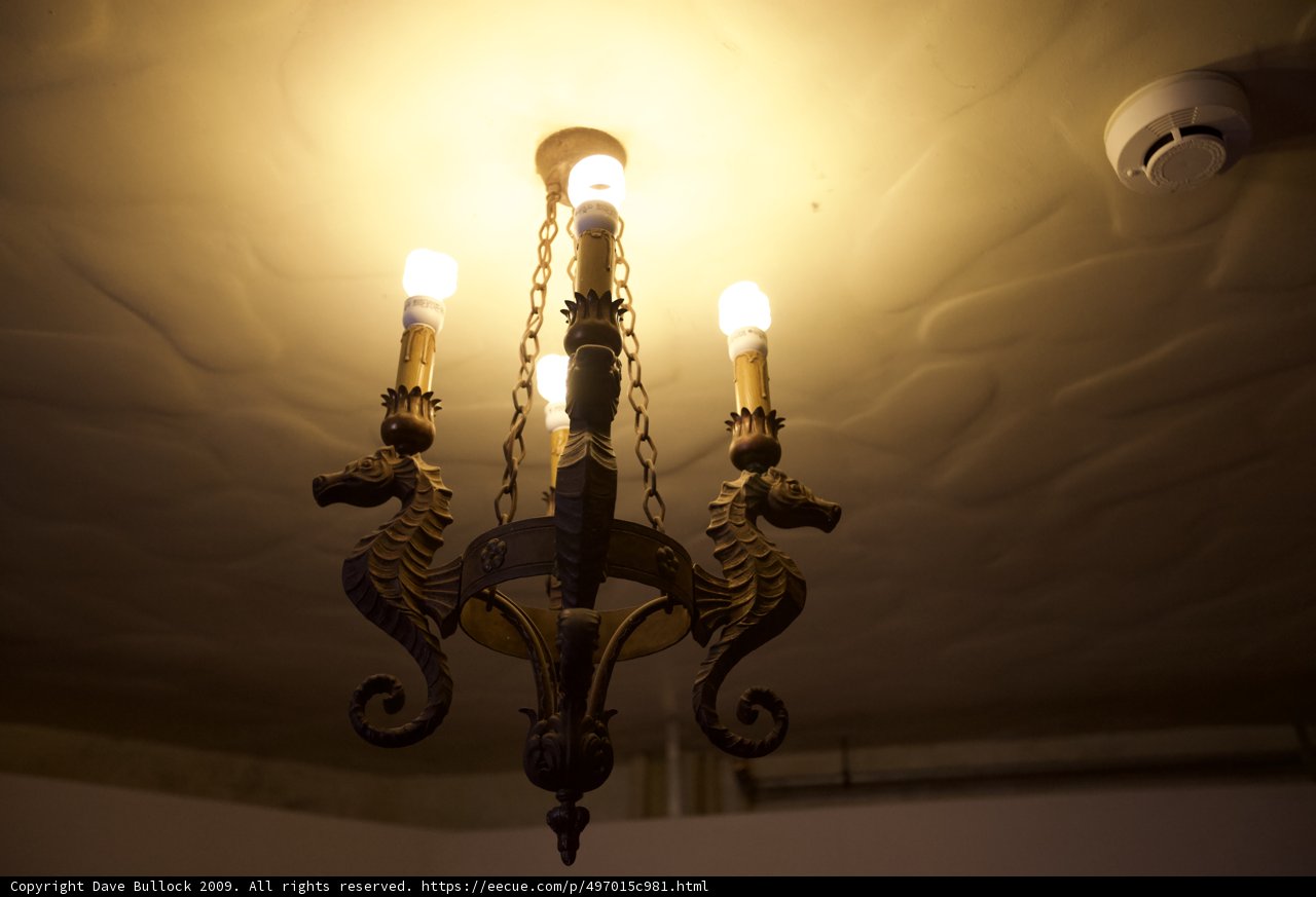 Equestrian Illumination