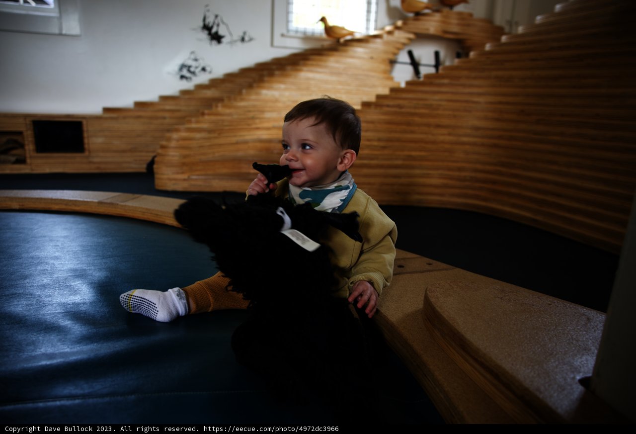A Playful Duo at the Museum