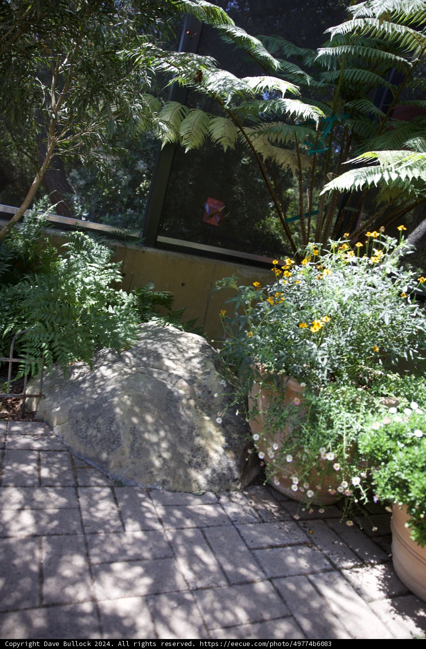 Serene Garden Pathway