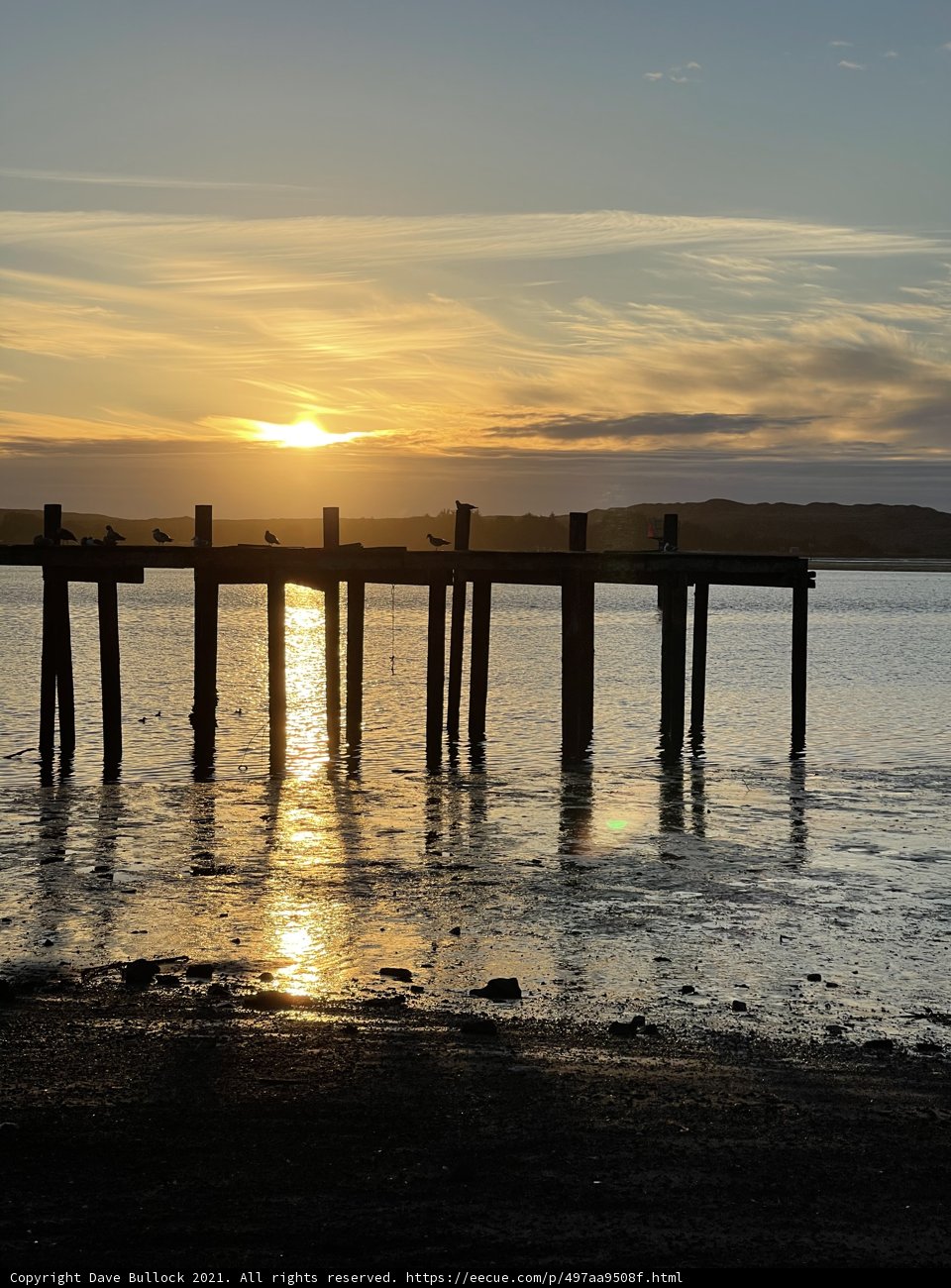 Serene Sunset at Bodega Bay