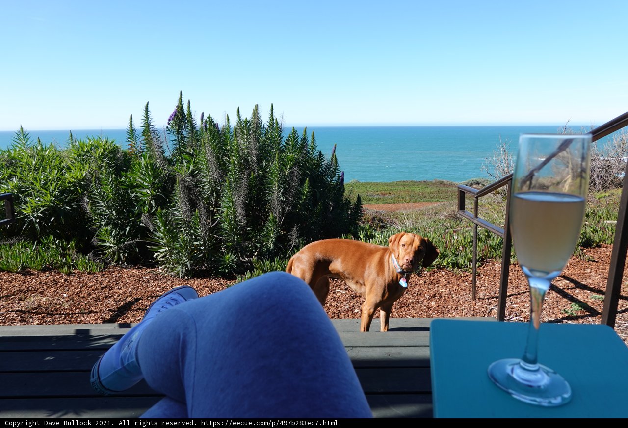 Taking in the Ocean's Beauty