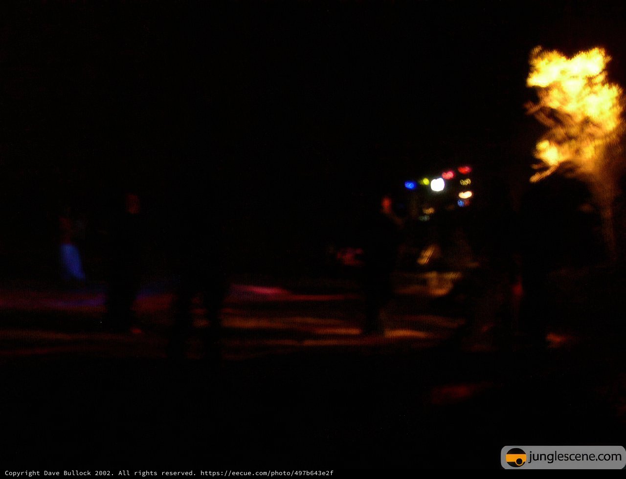 Nighttime Bonfire
