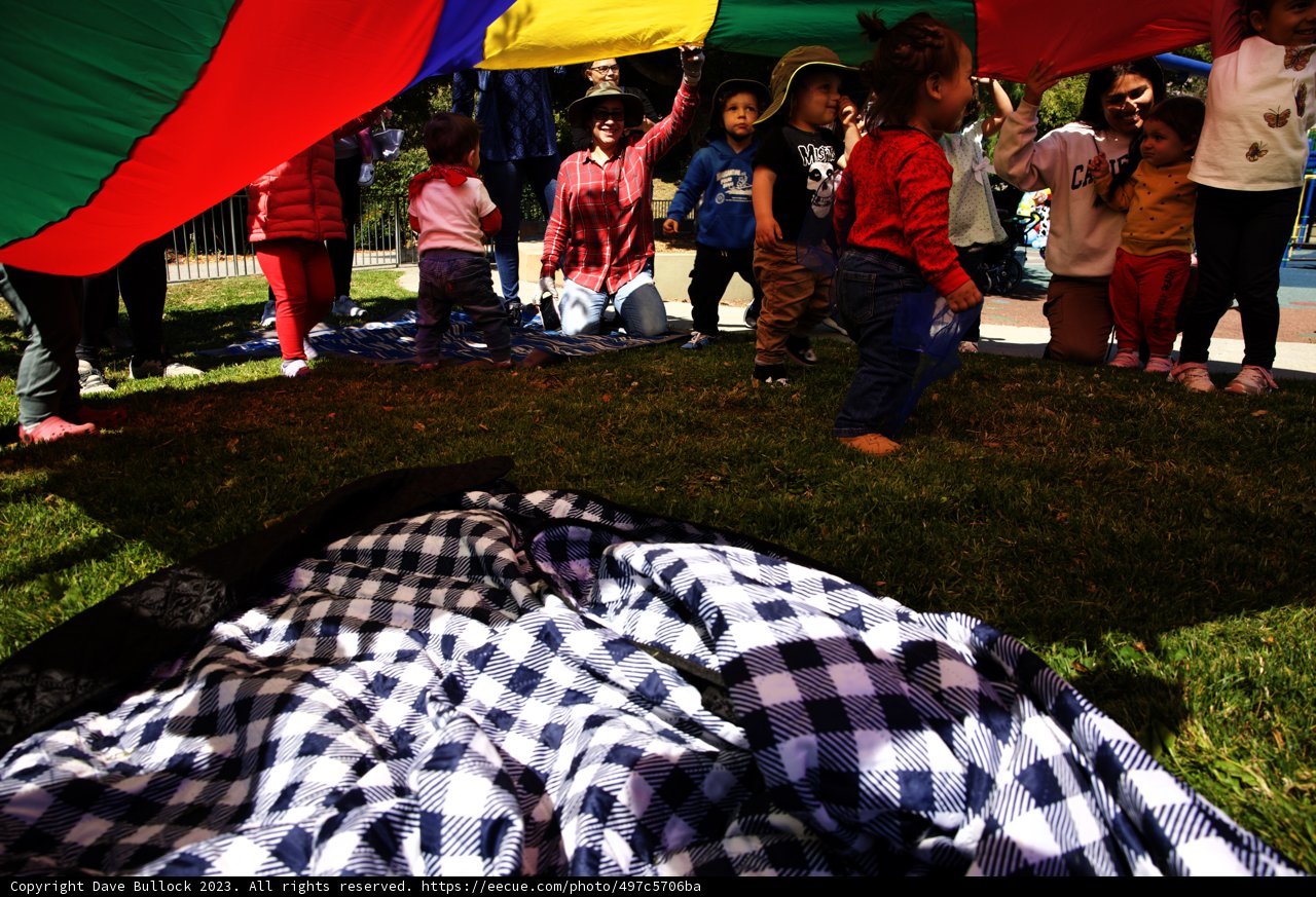 Childhood Innocence: A Day in the Park