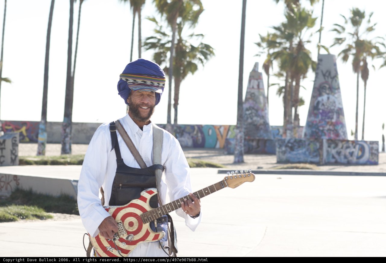 Melodies under the Palms