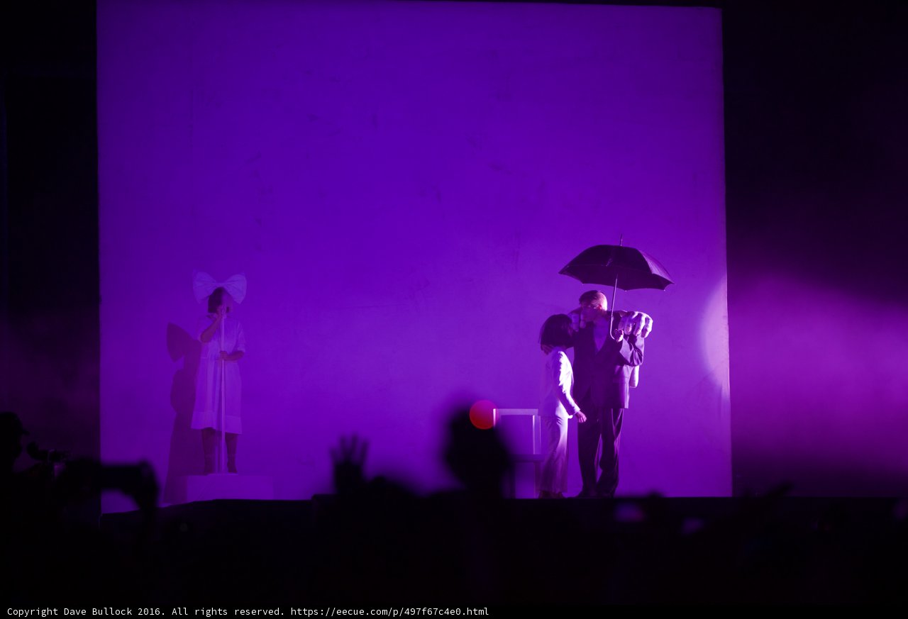 Purple Haze Performance