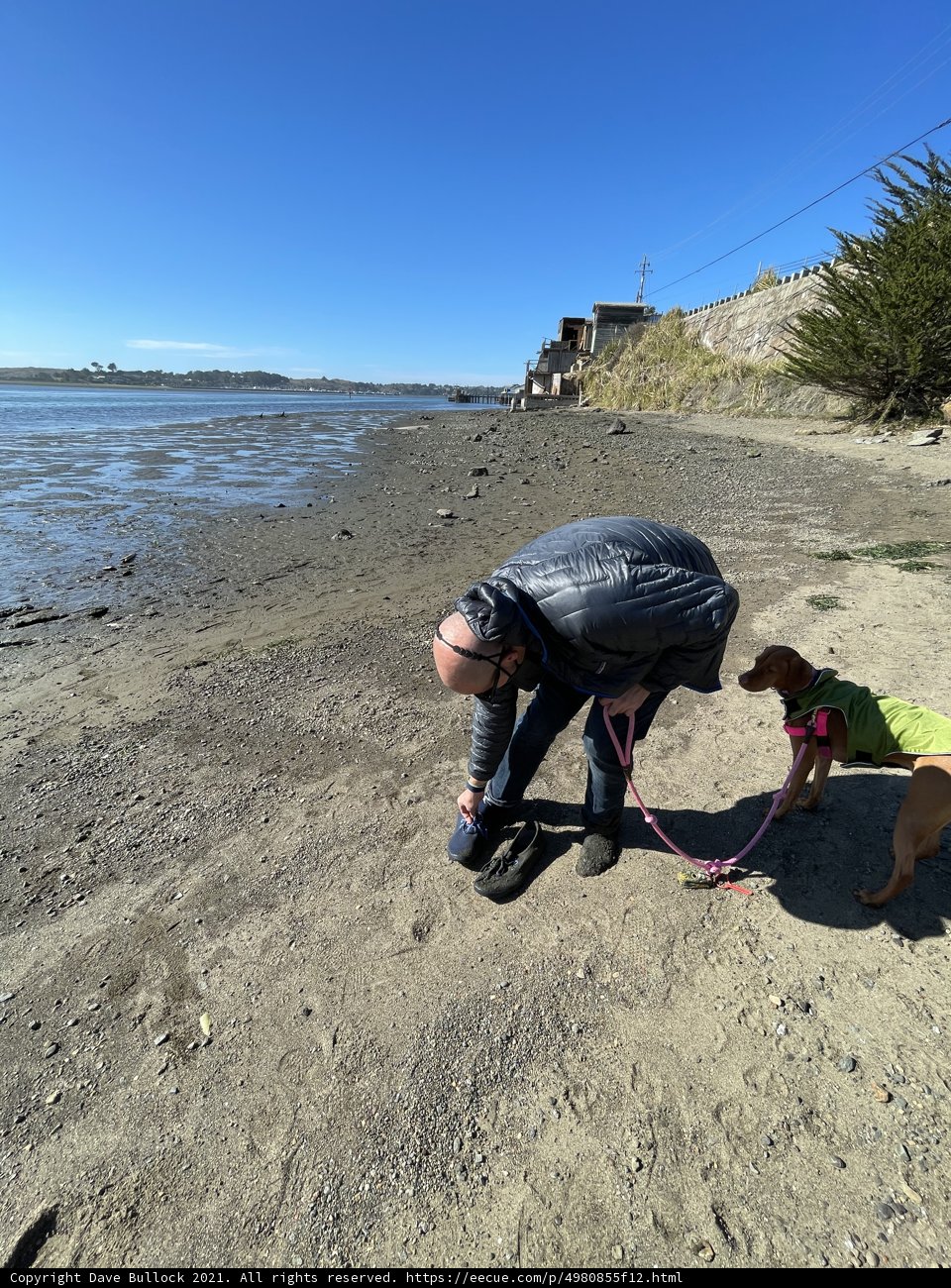 A Man and his Best Friend on Bodega Bay Beach