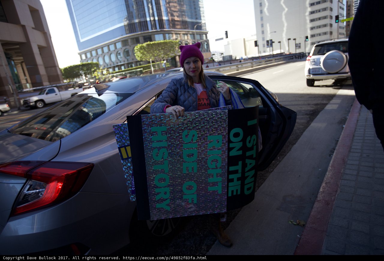 Women's March Protester Joins the Roadside Revolution