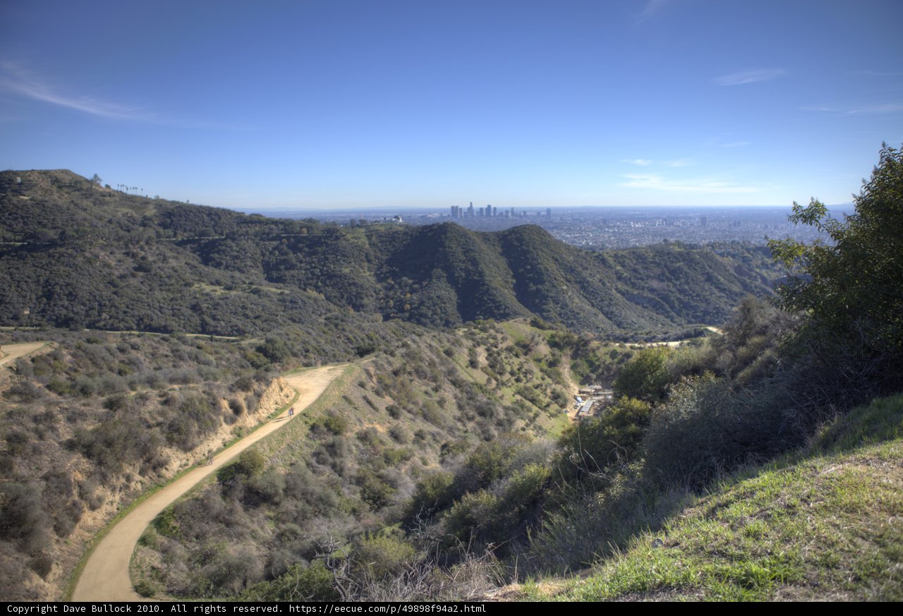 Winding Road Through Wilderness