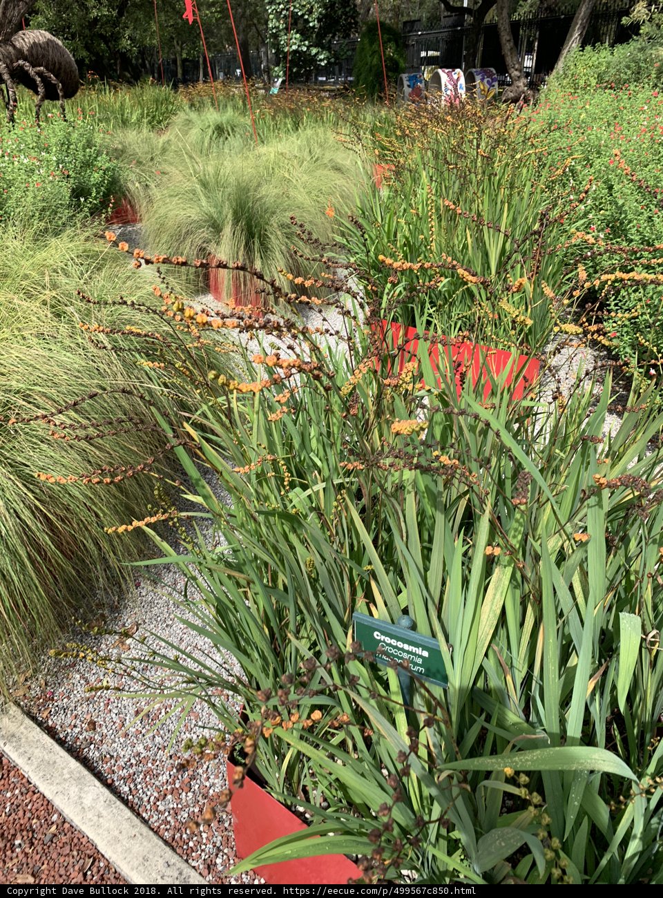 Verdant Garden with Sign
