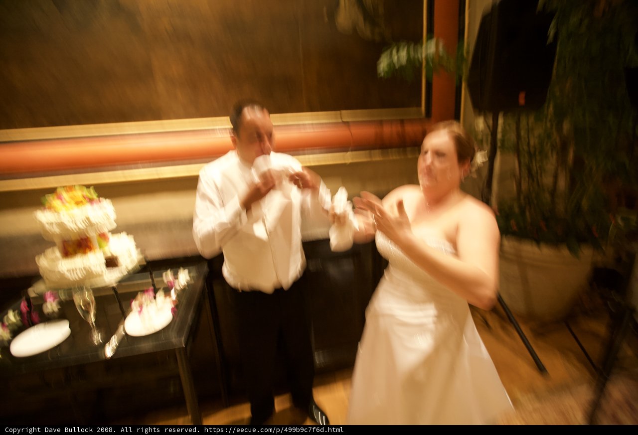 Cutting the Wedding Cake
