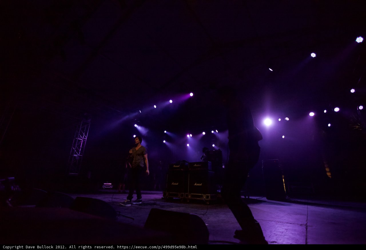 Alec Empire Rocks Coachella Stage Under Purple Hues