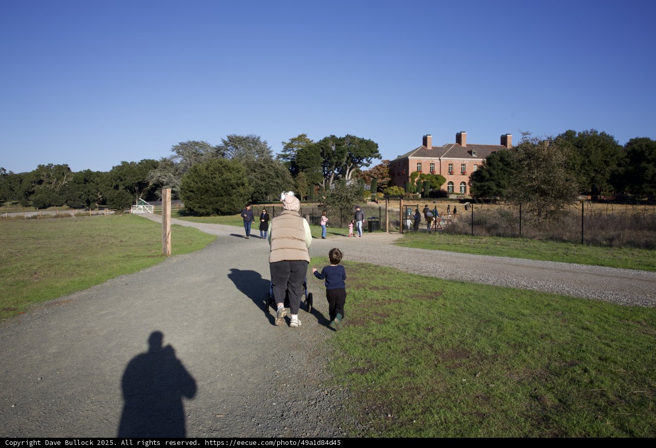 Stroll Through Thistlewyck