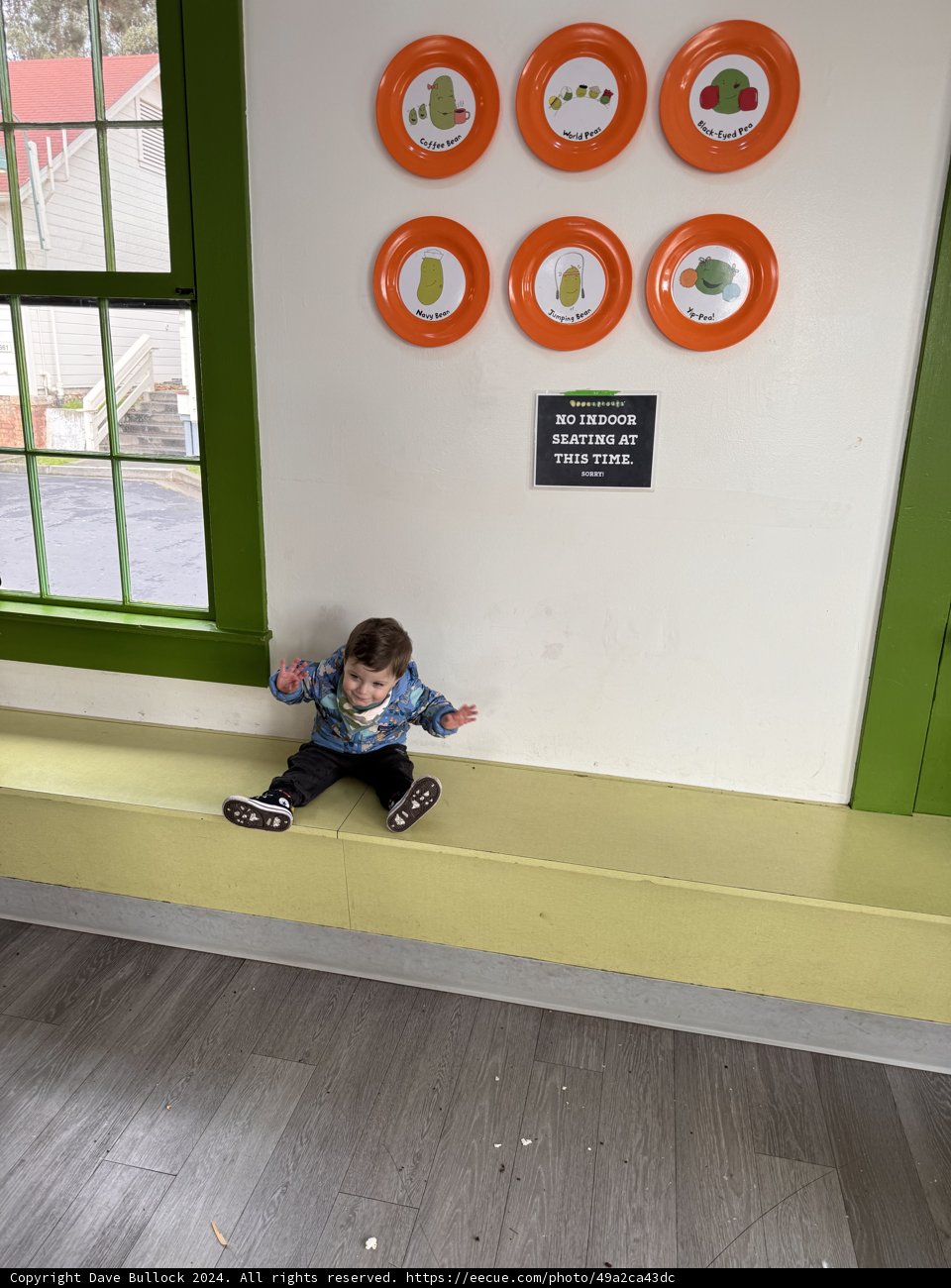The Little Explorer's Window Adventure