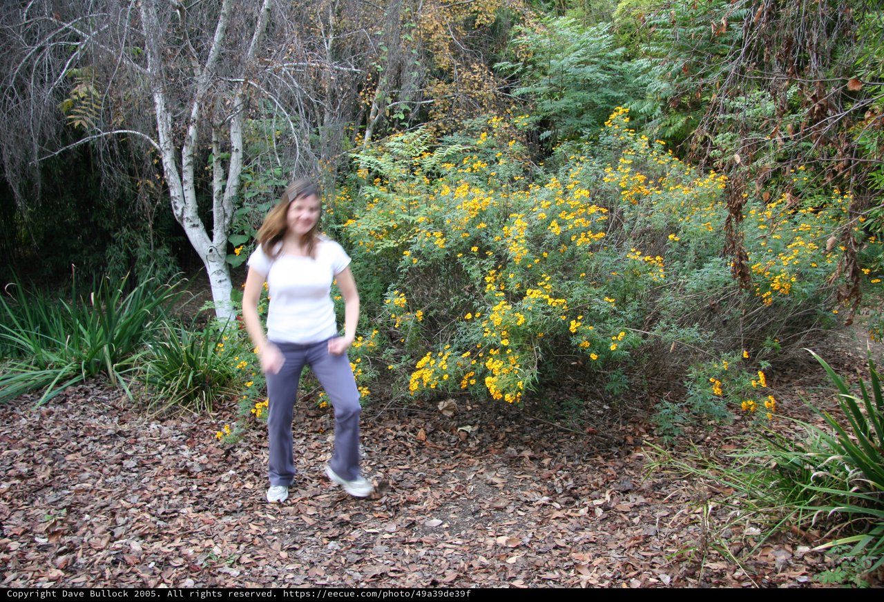 Woman Walking Among Golden Wildflowers on Forest Trail