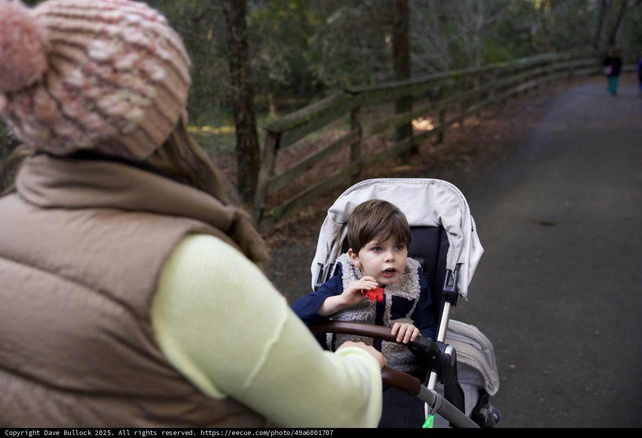 Autumn Stroll at Thistlewyck