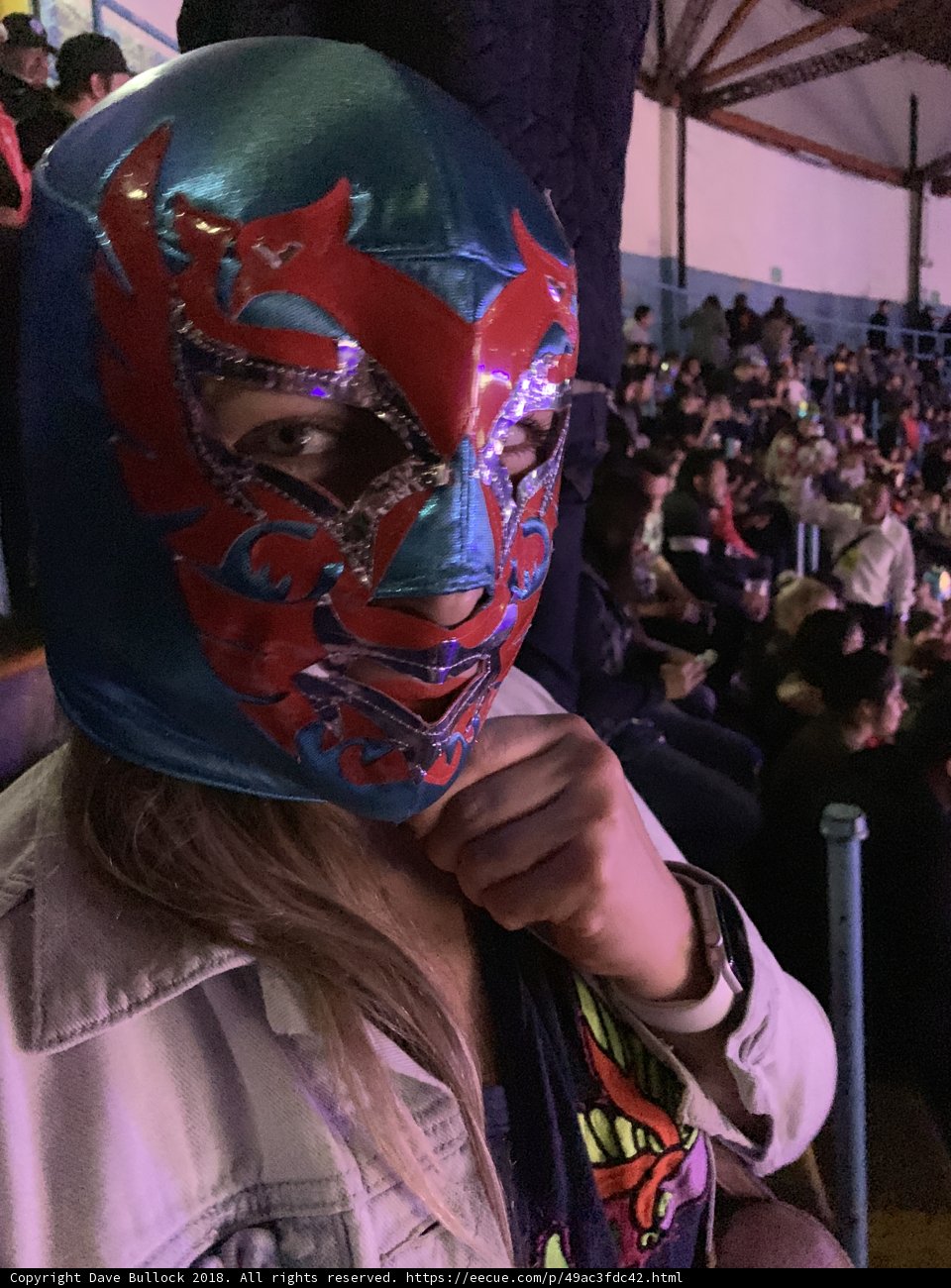 Masked Fan at Wrestling Event