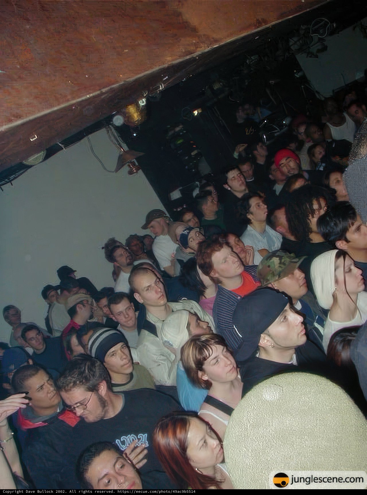 Nightclub Concert Audience