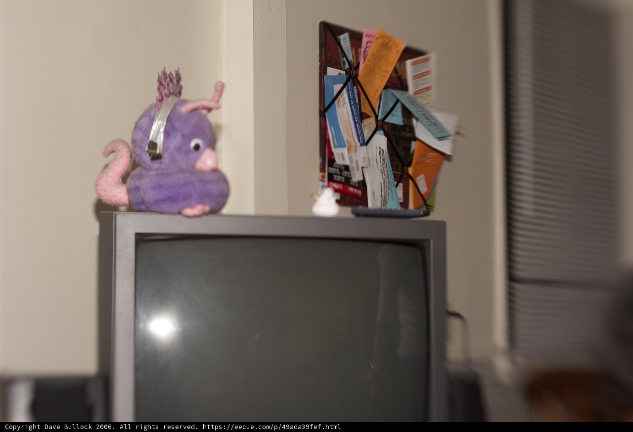 Purple Pal on Screen