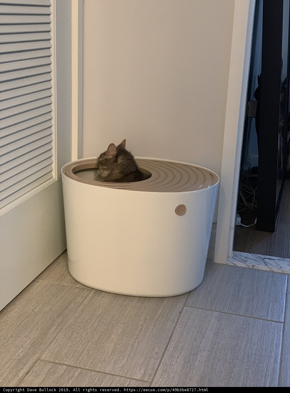 Feline Relaxation in a Woody Tub