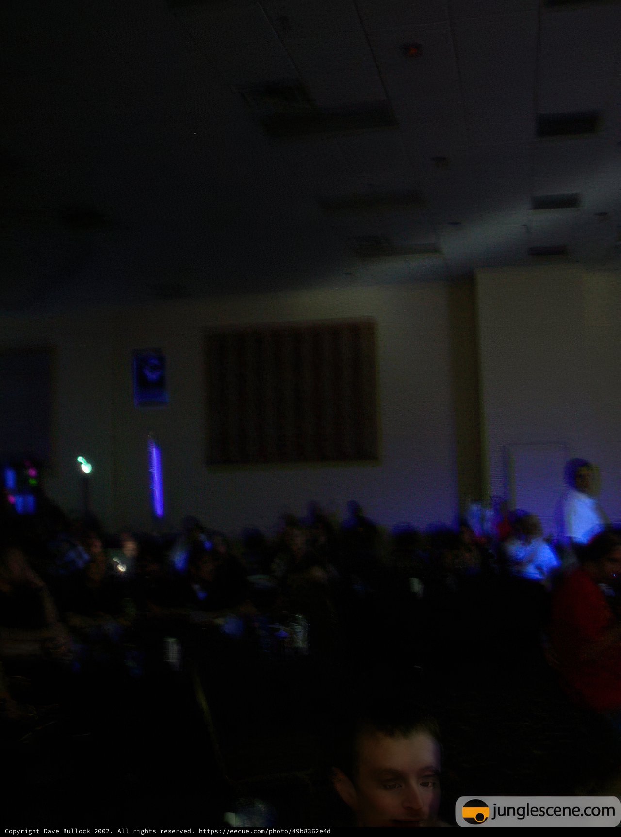 Blue Lights and Huge Crowds