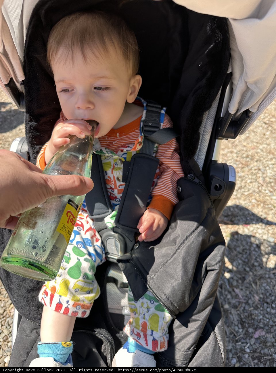 Baby's Bottle Break