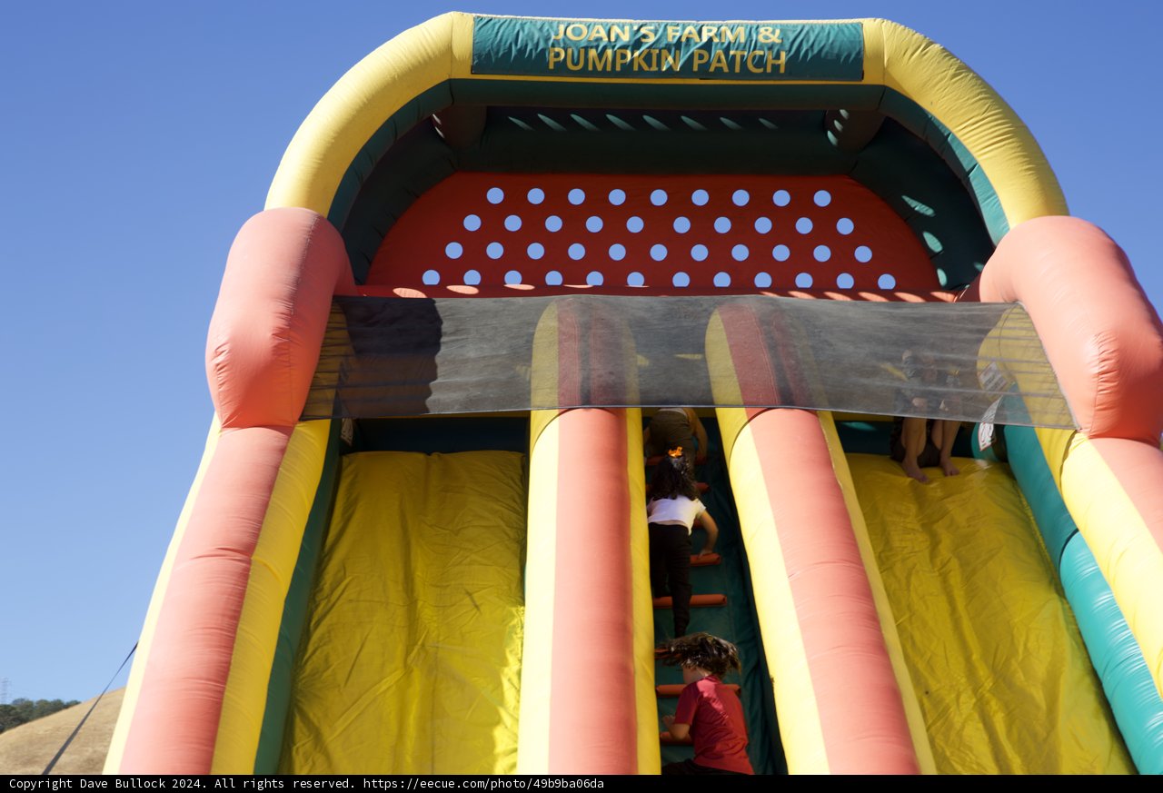 Soaring Fun at Joan's Farm