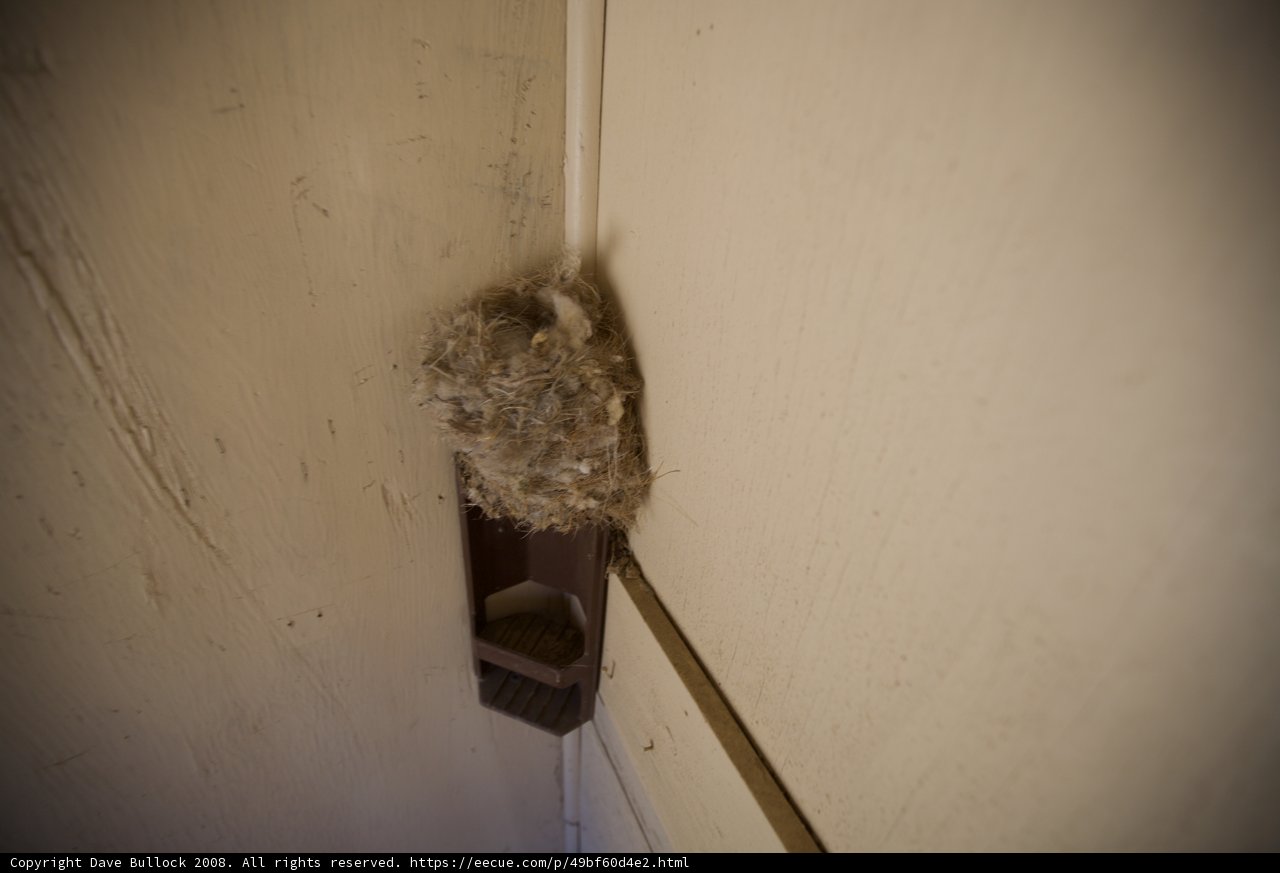 Hanging Nest